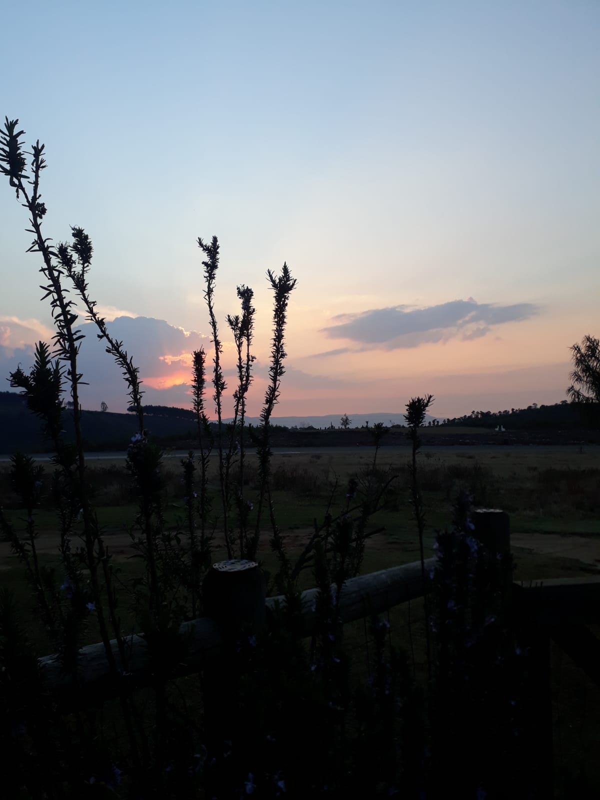 Evening Sunset