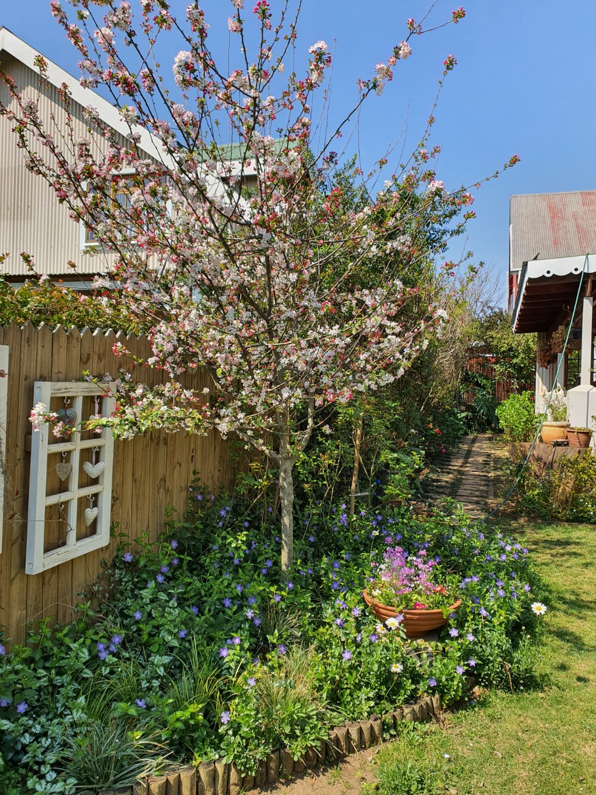 Our Garden